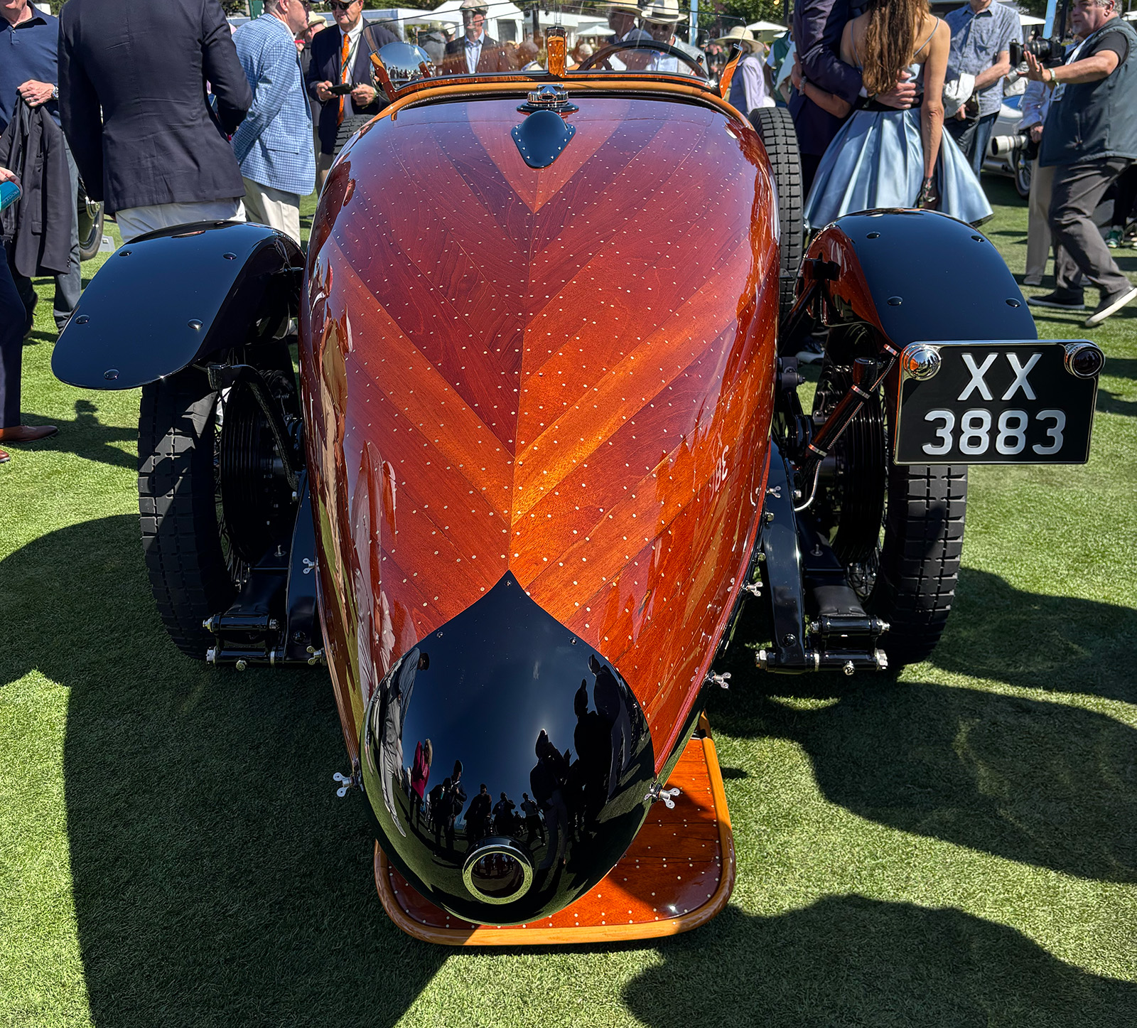 Cs Tulip Rear