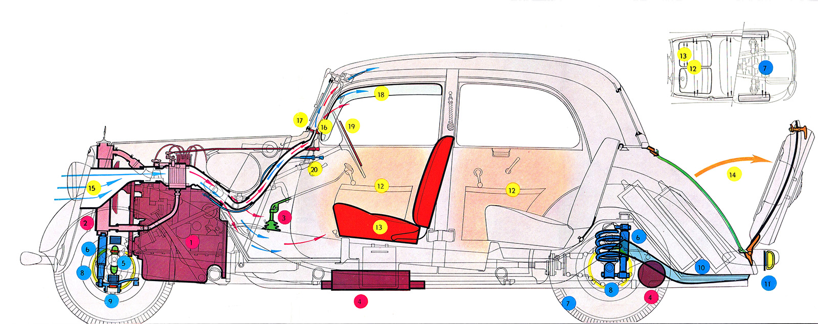 Cs Whytrunk 2