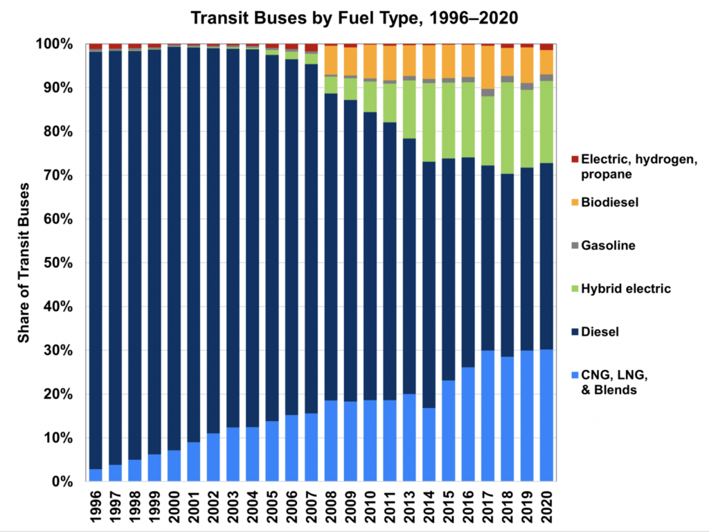 Doe Transit Buses