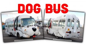 Dogbustop