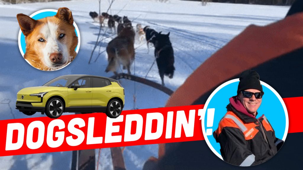 Dogsled Top