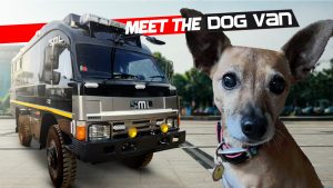 Dogvan Top