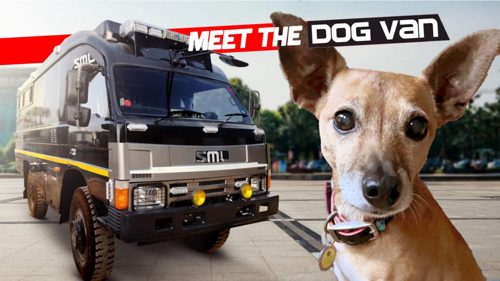 Dogvan Top2