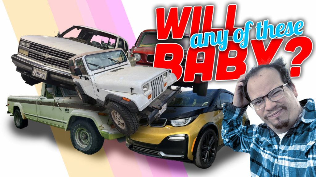 Dt Anyofthesebaby Top