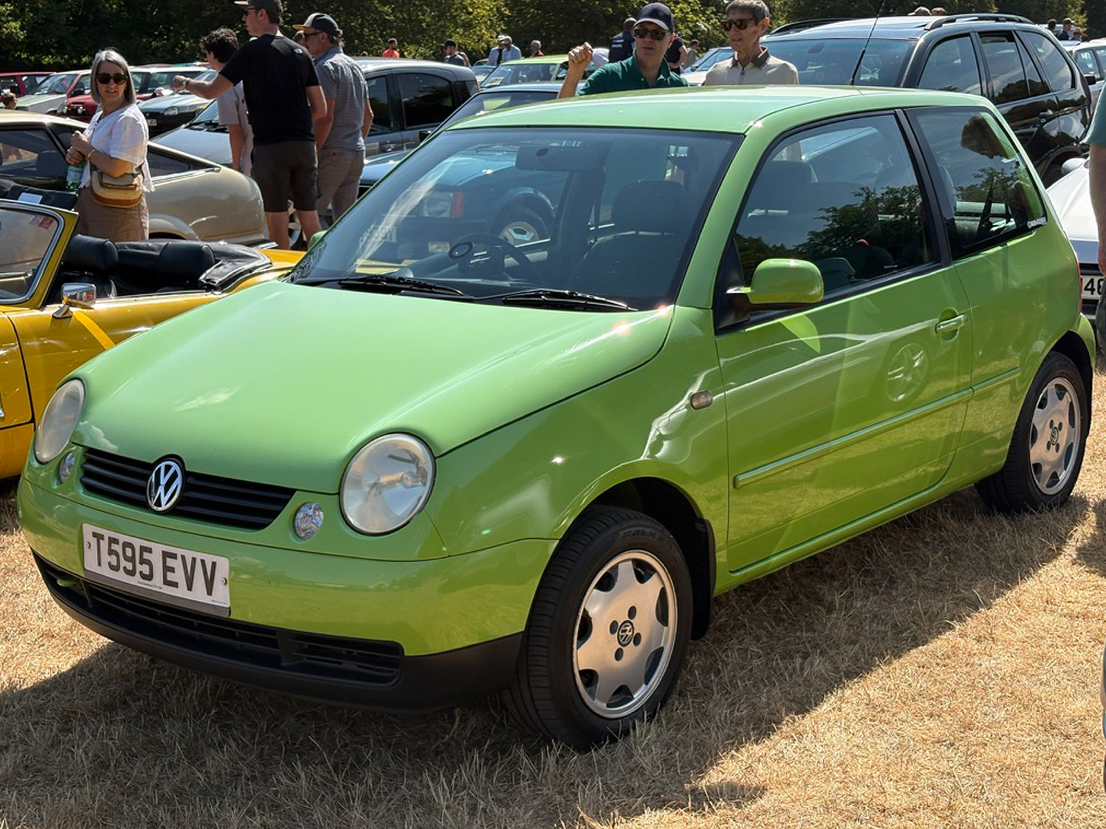 Fotu19