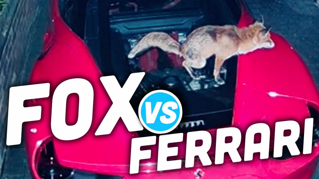 Foxvferrari Top