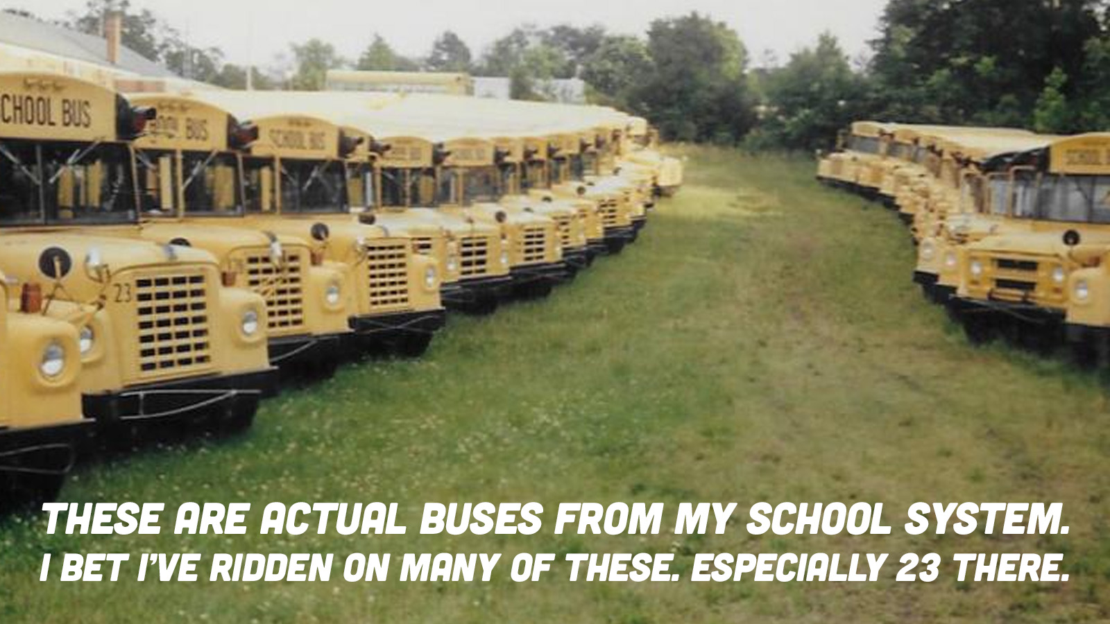 Gso Schoolbuses