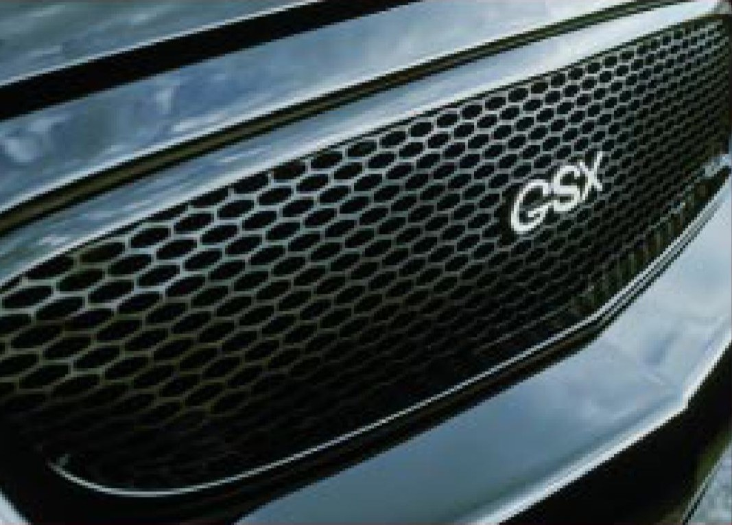 Gsxgrille