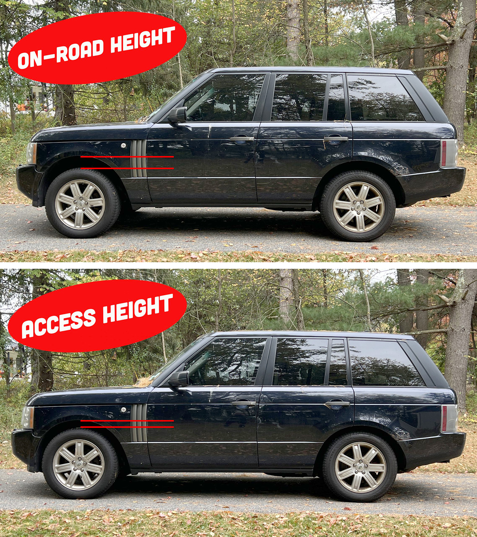 Heights Compared Scaled2