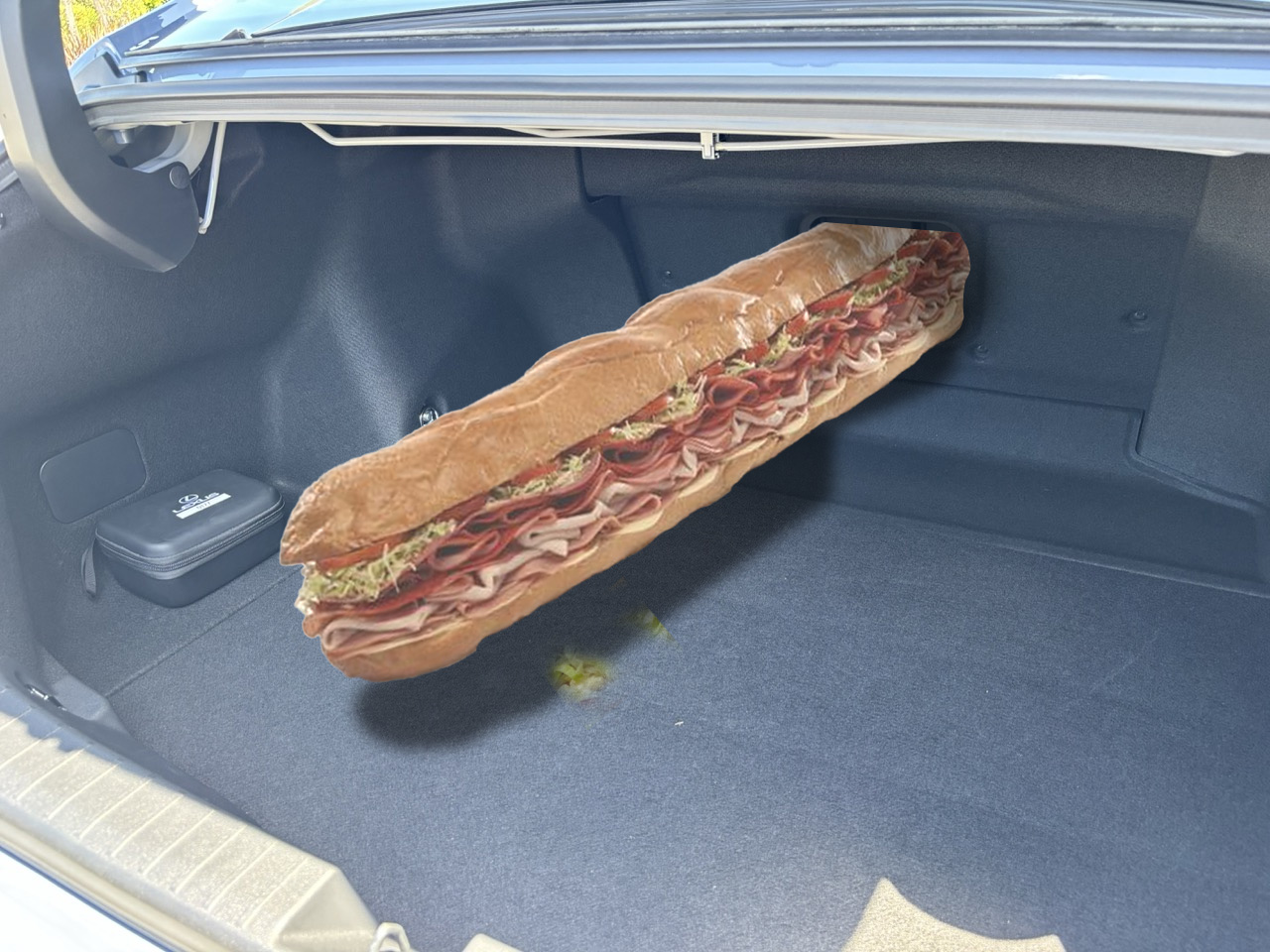 Lexuses Partysub