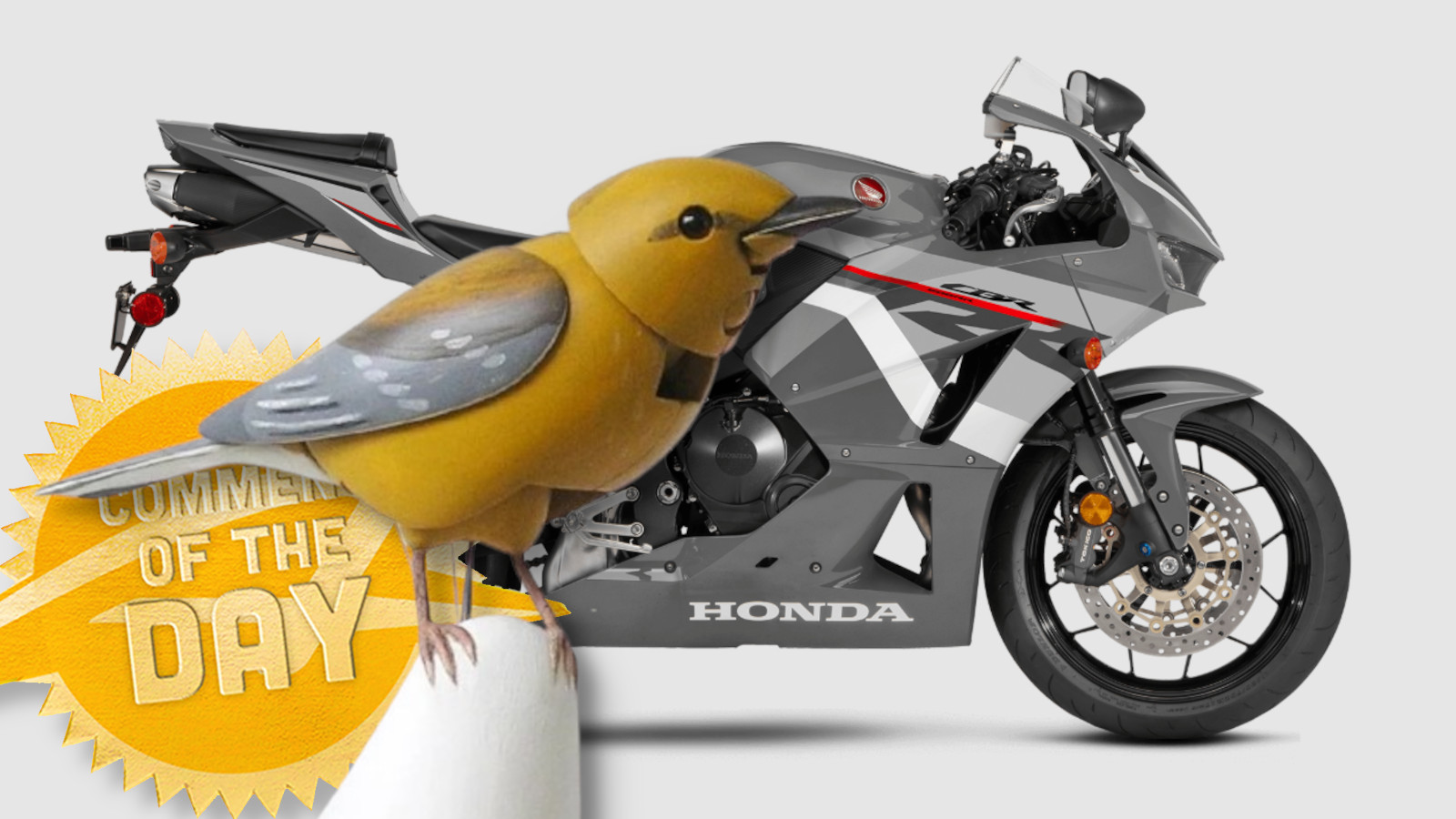Motobird
