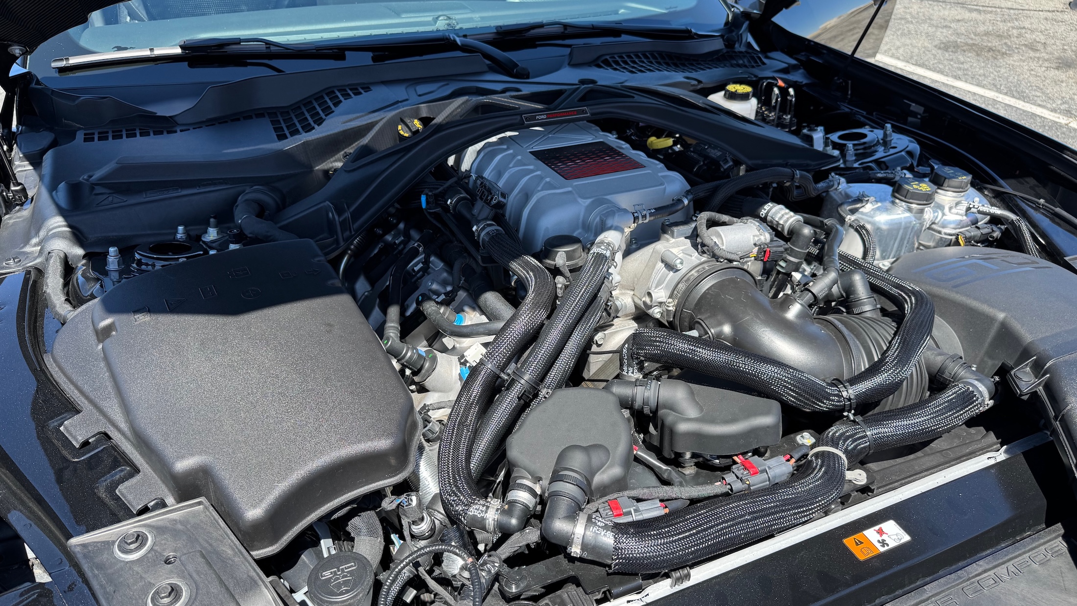 Mustang Gtd 0770