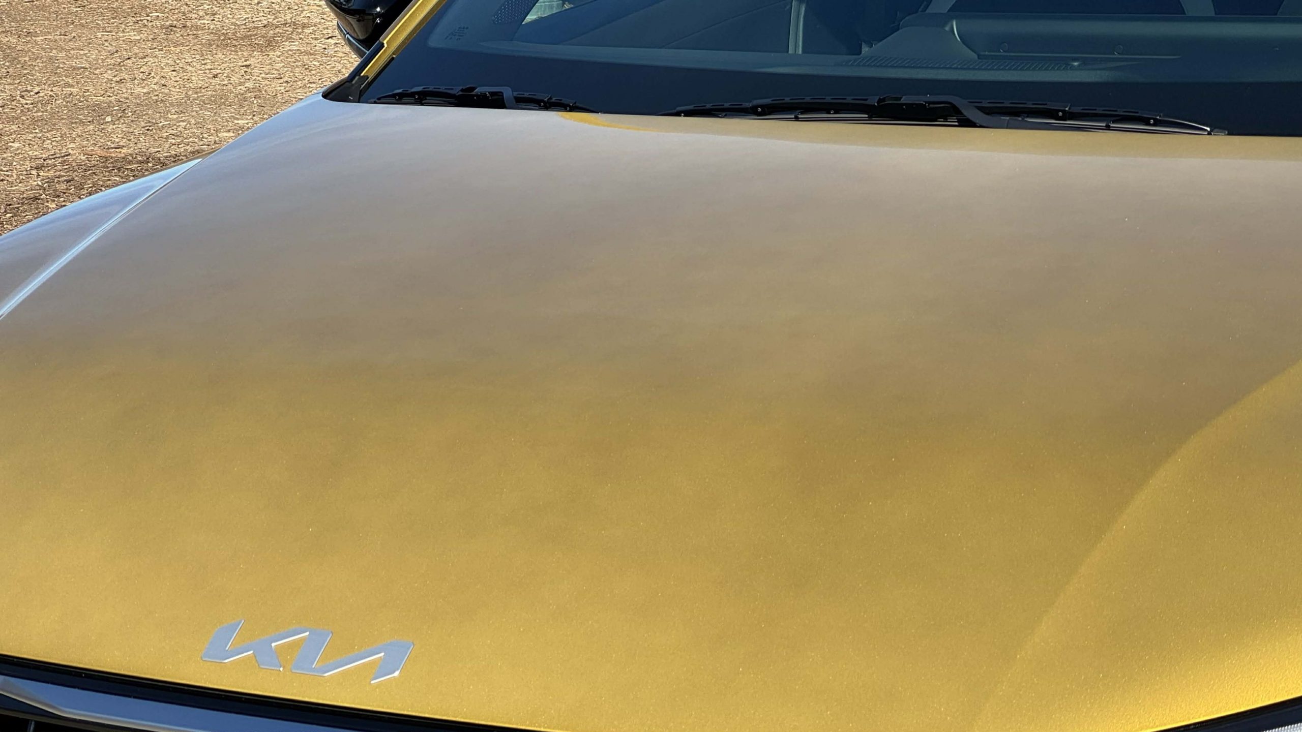 Paint Blotch K4 Hatch