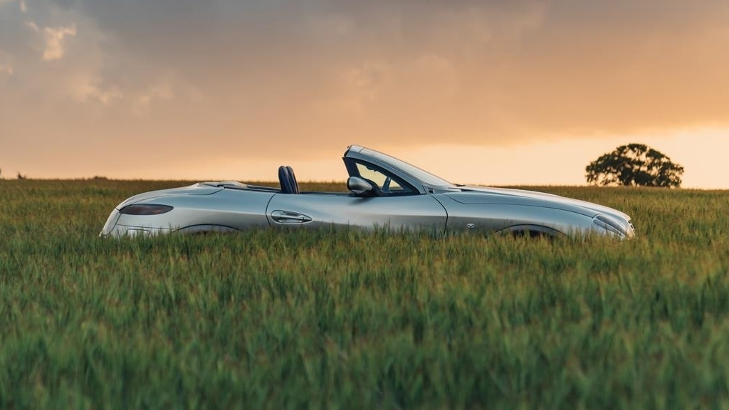 Profile In Grass