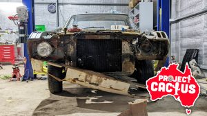 Projcactus Front Top