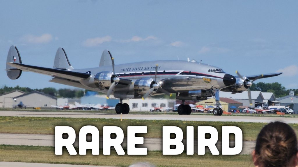 Rare Bird1