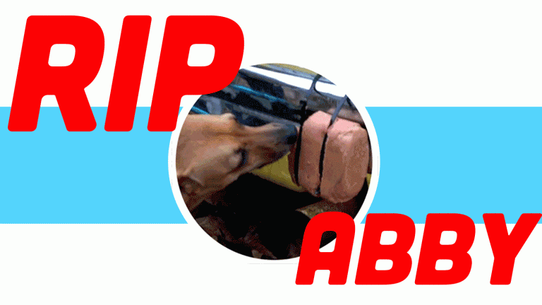 Rip Abby Top