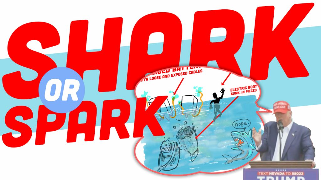 Sharkspark Top