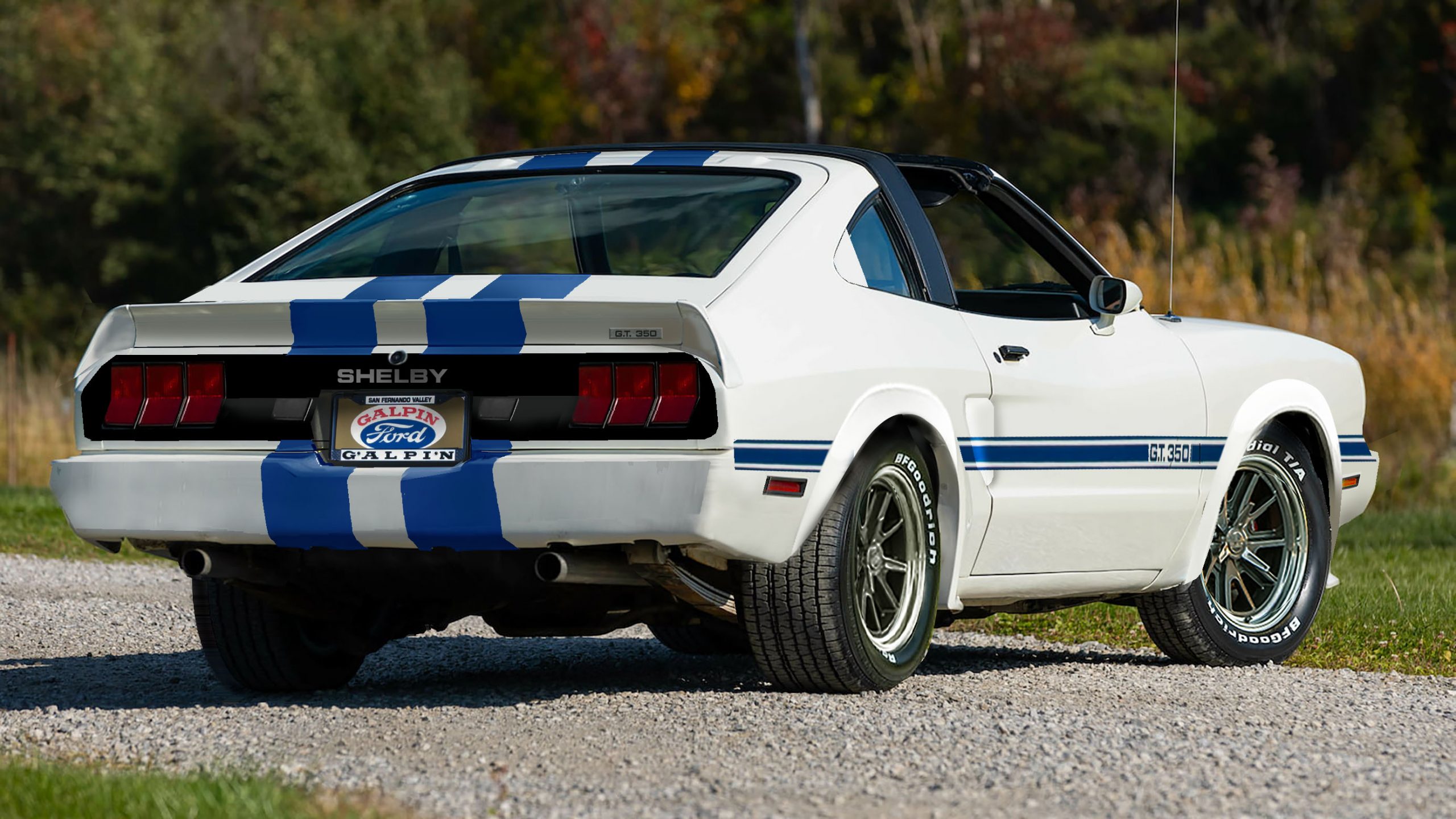 Shelby Gt350 Rear 12 12