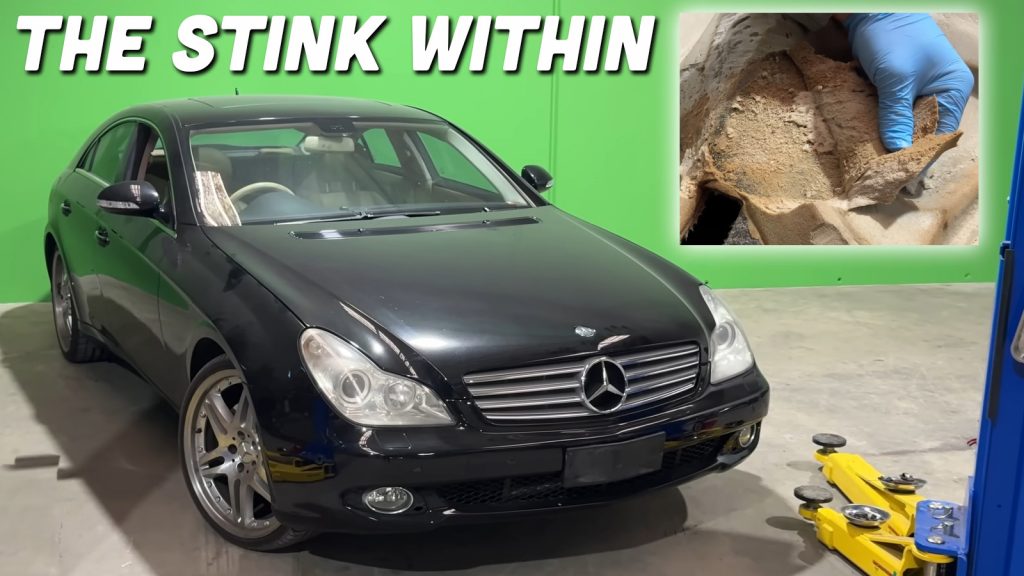 Stinkwithin