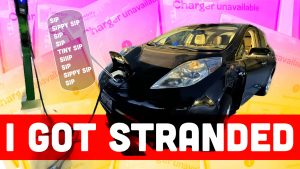 Strandedleaf Top
