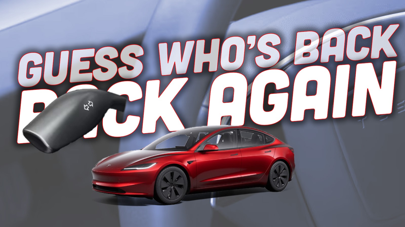Tesla Stalks Top