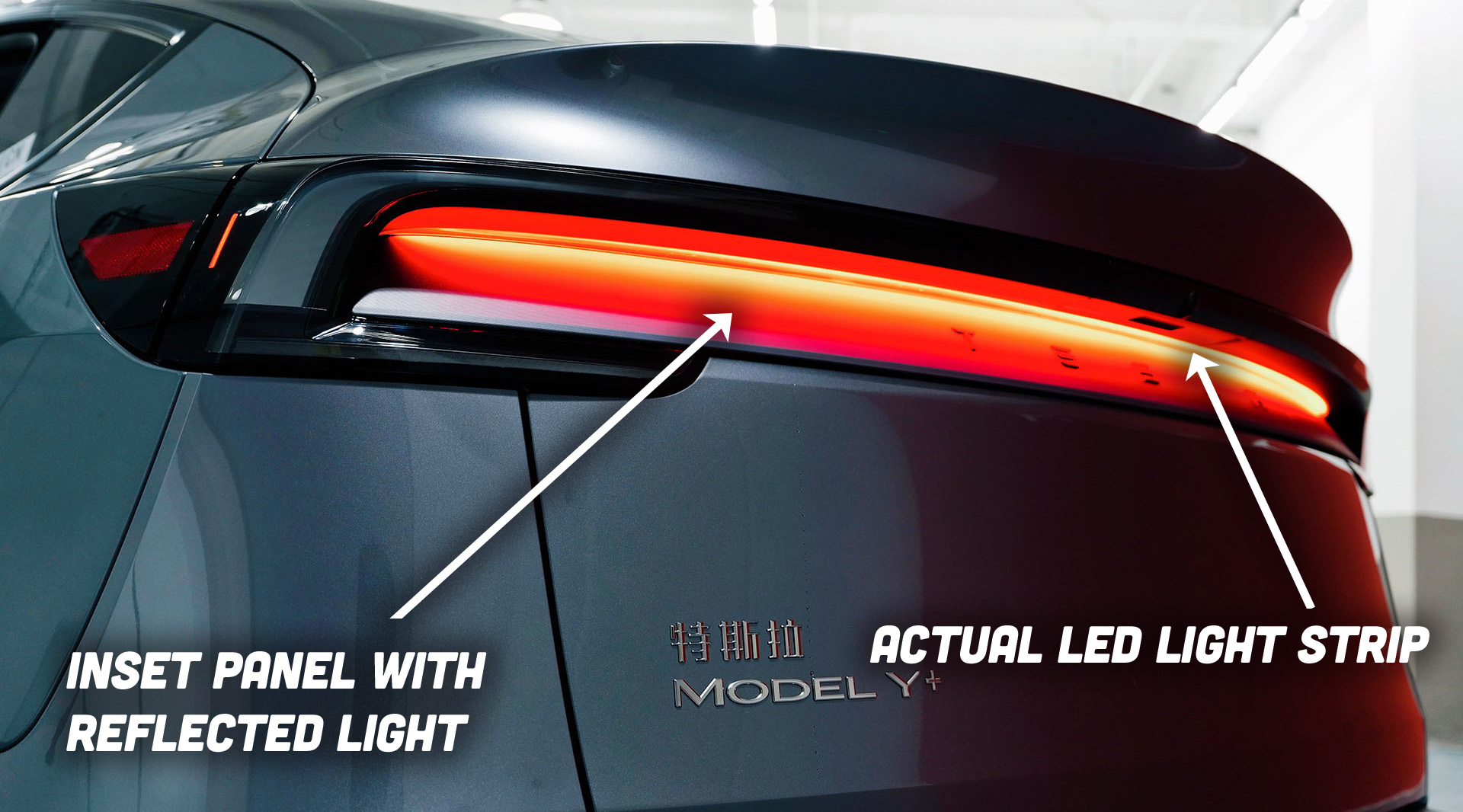 Teslamodely Taillight