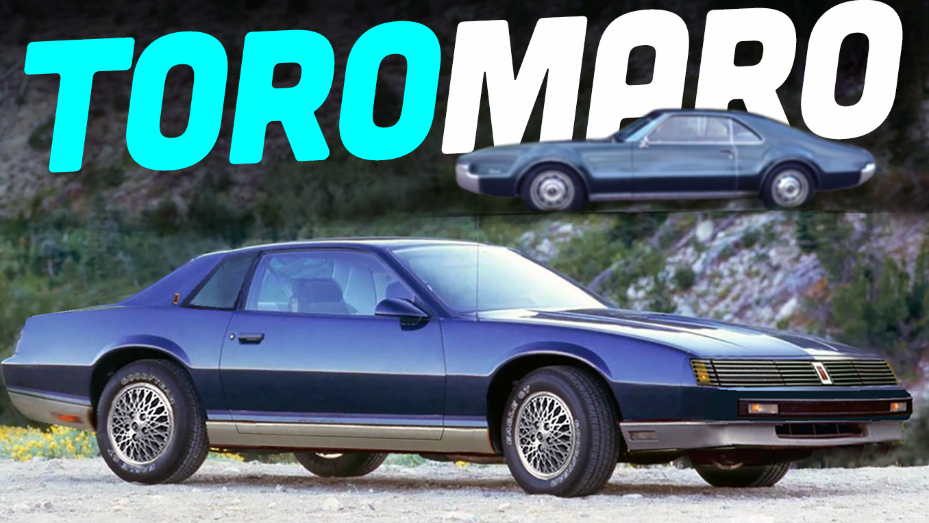 toromaro topshot PV Toromaro Topshot Pv