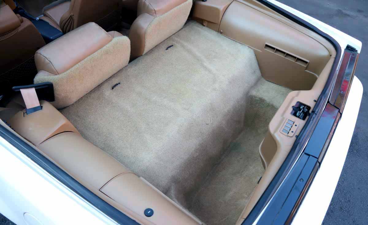 Trans Am Turbo Trunk 9 18