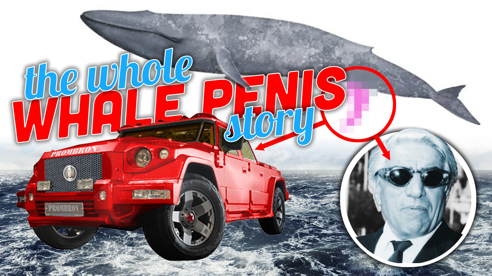 The Real Story Of How Whale Penis Leather Became The Most Infamous Upholstery Of The 21st Century