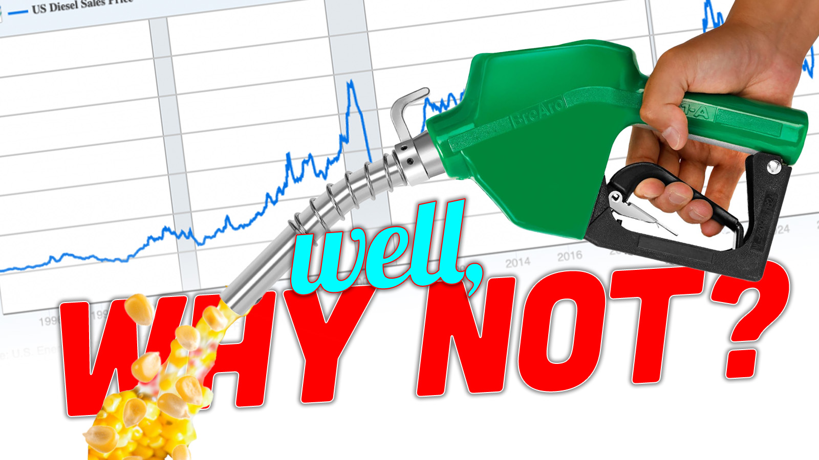 whynotbio_d_top Whynotbio D Top