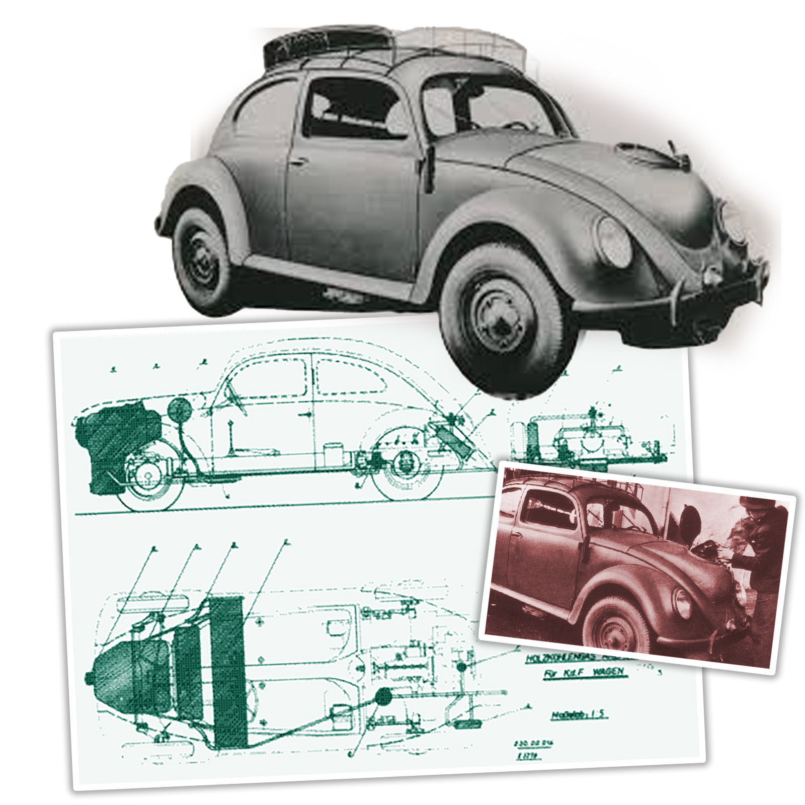 Woodgas Beetle