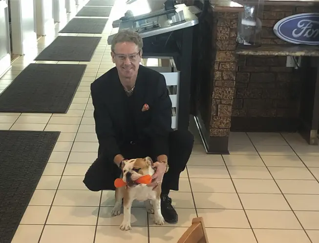 Dog
